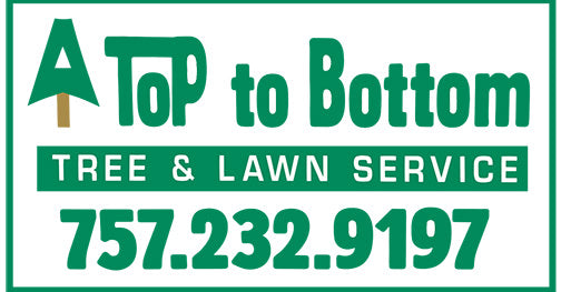 Footer Logo